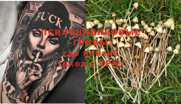PSILOCYBIN Балабаново