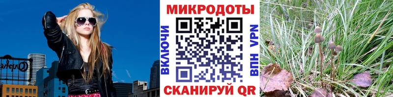 Галлюциногенные грибы MAGIC MUSHROOMS  Бор 