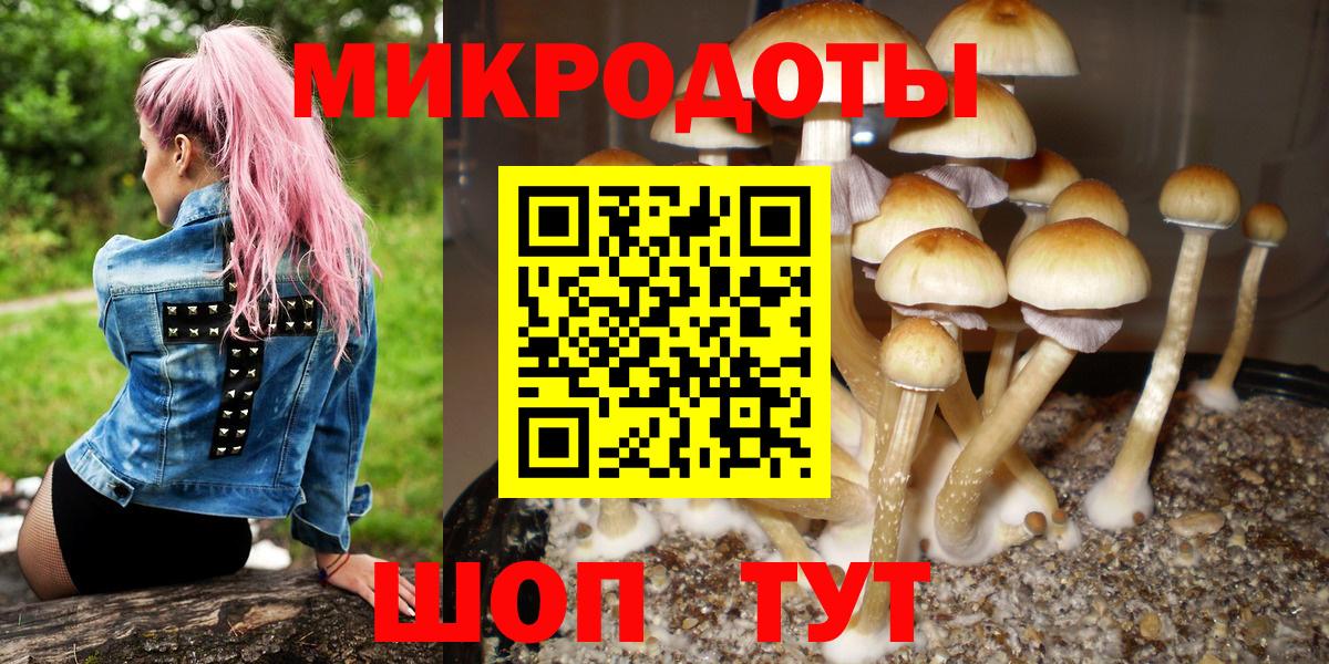 Бор  цены наркотик  Вход с VPN  Псилоцибиновые грибы Psilocybine cubensis 